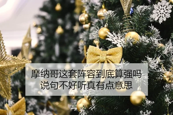 mo-na-ge-zhe-tao-zhen-rong-dao-di-suan-qiang-ma-shuo-ju-bu-hao-ting-zhen-you-dian-yi-si-2-211.jpg