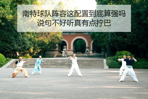 南特球队阵容这配置到底算强吗 说句不好听真有点拧巴