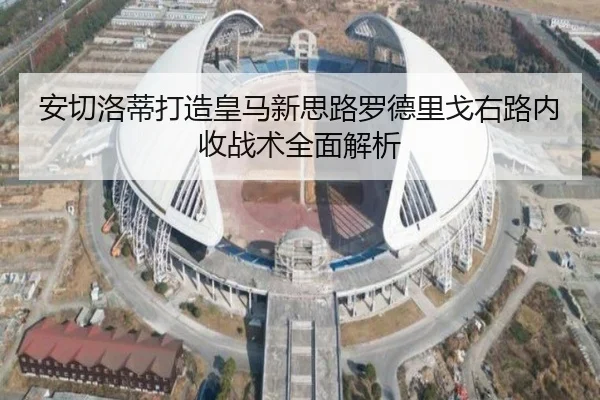 安切洛蒂打造皇马新思路罗德里戈右路内收战术全面解析