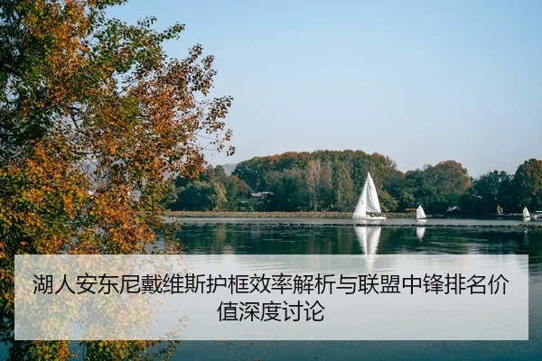 湖人安东尼戴维斯护框效率解析与联盟中锋排名价值深度讨论
