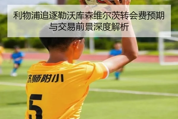 利物浦追逐勒沃库森维尔茨转会费预期与交易前景深度解析